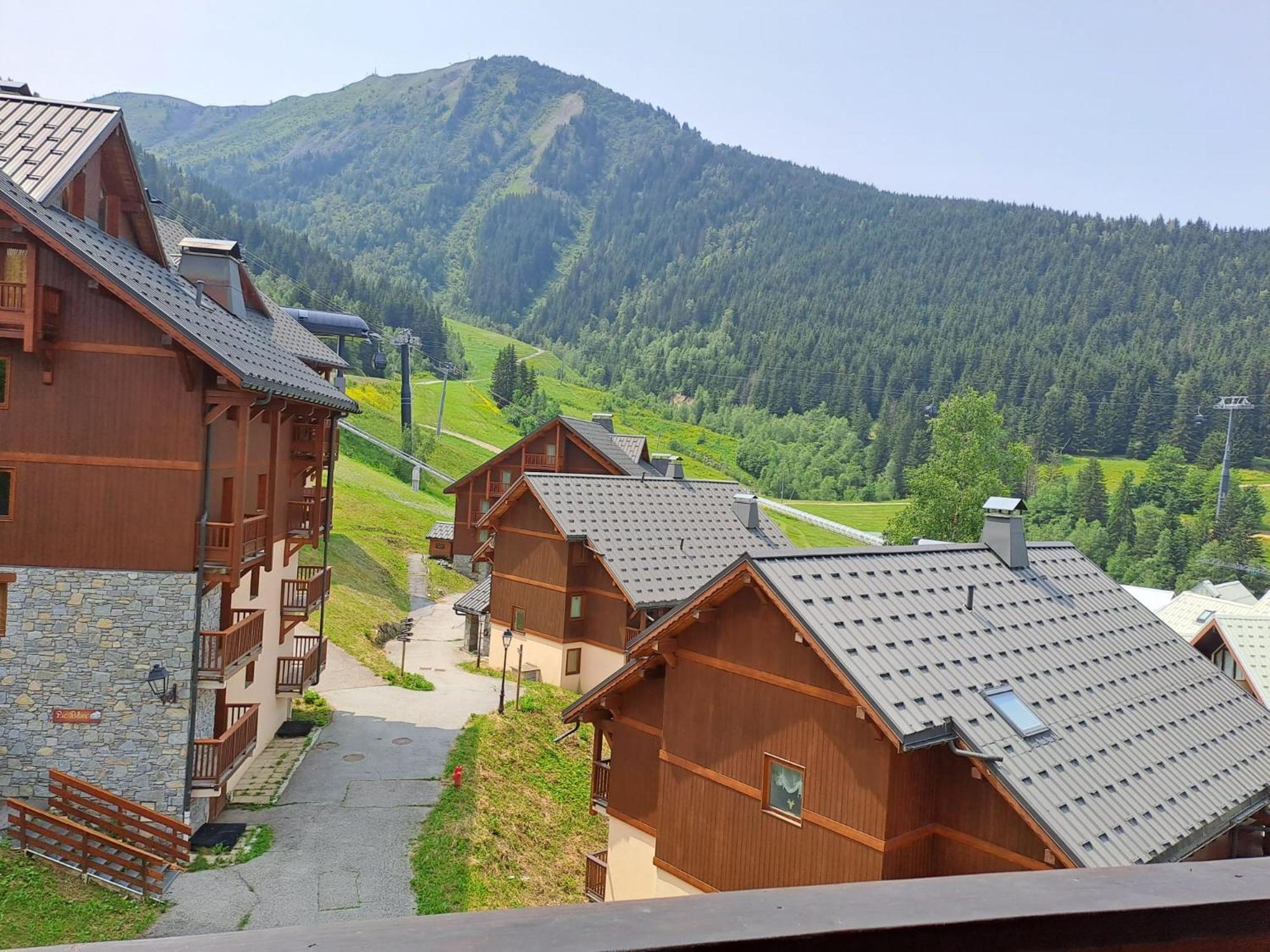 Chalet Des Neiges Oz En Oisans Oz Екстериор снимка